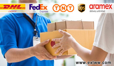 International Parcels Service Company in Punjab DHL UPS Fedex Aramex TNT International Courier Parcel Service in India